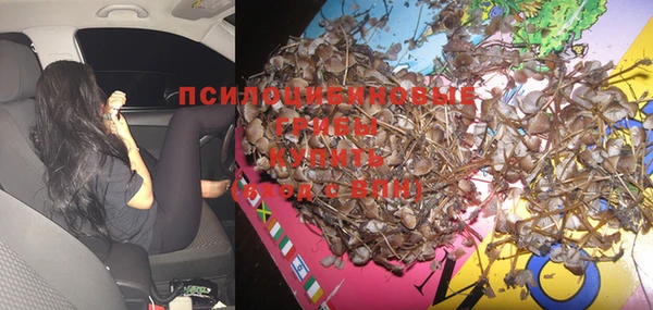 кристаллы Нягань