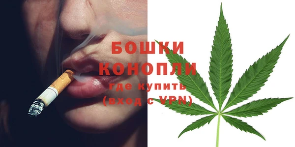 прущая мука Няндома