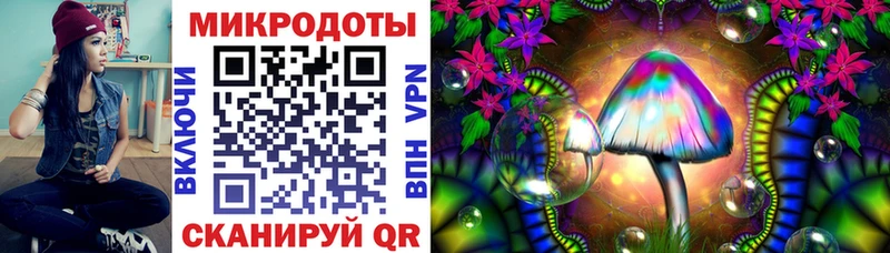 Псилоцибиновые грибы Psilocybe  хочу   Отрадное 